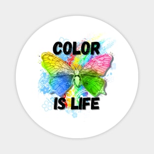 Color is Life Rainbow Butterfly Magnet